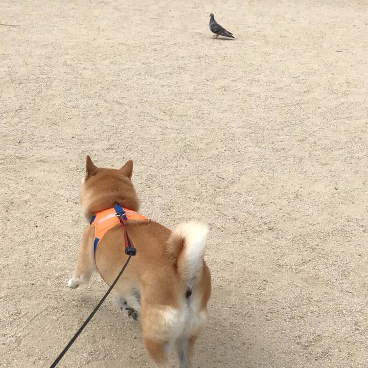 C0d99929 f059 4ab7 a1d2 5db70fda3141