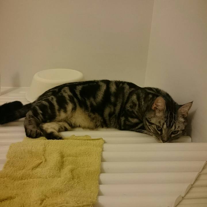 C0d9f719 1a19 4a71 83f4 47bfa4660940