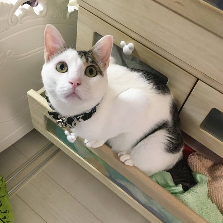 C0da3262 631b 4af8 920f 9713be2d0a8d