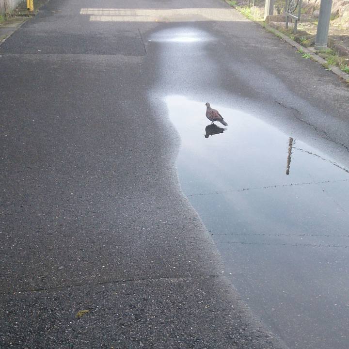 C0da42af 2942 4261 a003 9109e6ca5483