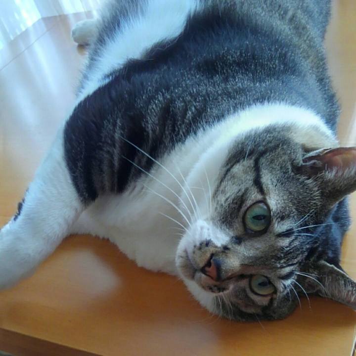 C0da430b 86ef 43ec aa6b b76a5cb479e4