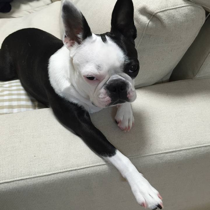 C0dab197 cedf 450c acf2 e81535f177f3