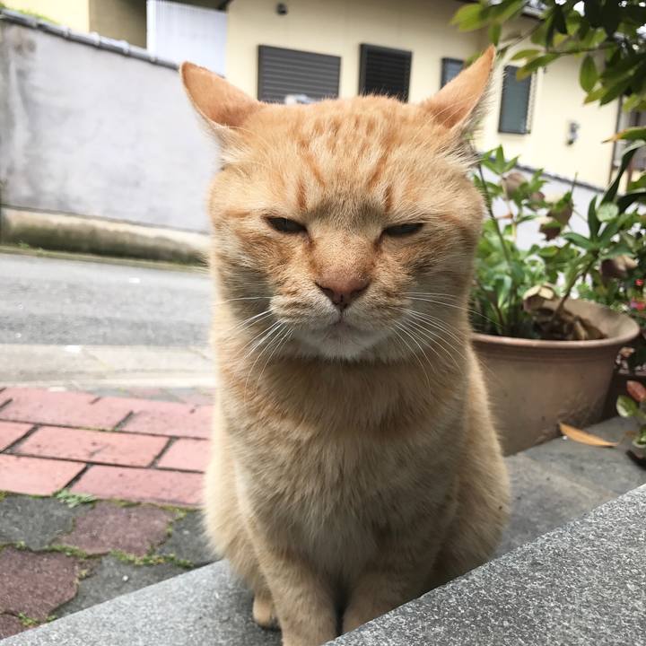 C0db0568 d111 4e67 bbec ea6e105af552