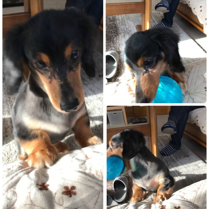 C0dbbfa2 ae4f 4150 8e56 cf02e5fcda0e