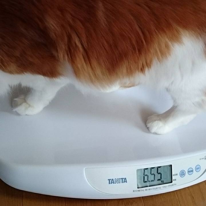 C0dc1f45 c13a 41d7 b145 27cf56f0476b