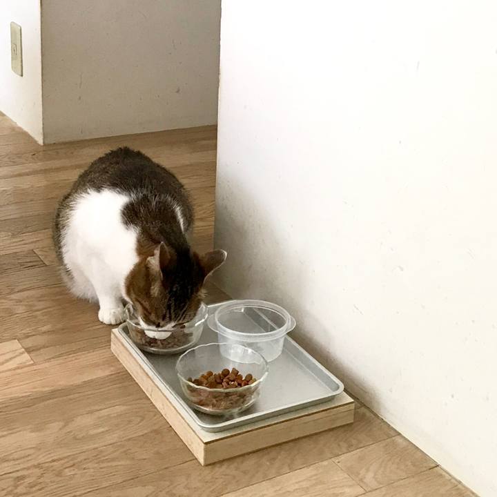 C0dc3a53 af3f 4ca8 8477 44e1c951bd2c