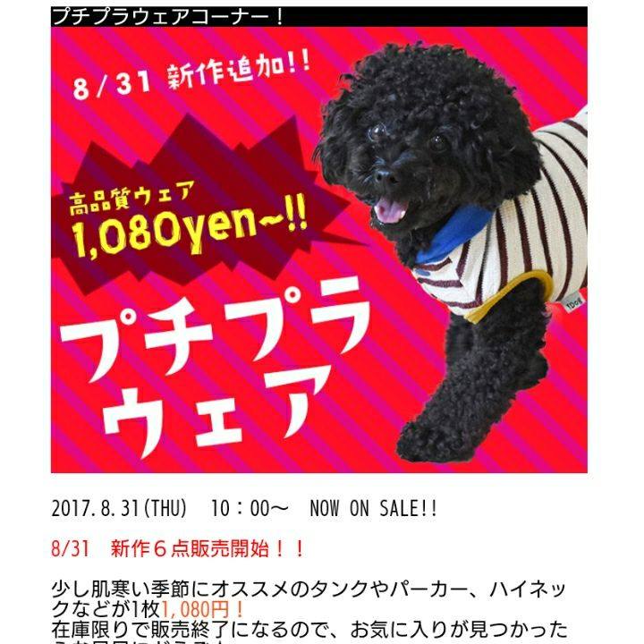 C0dc752c 6dd4 4cfe 8038 f75e69f5cf48