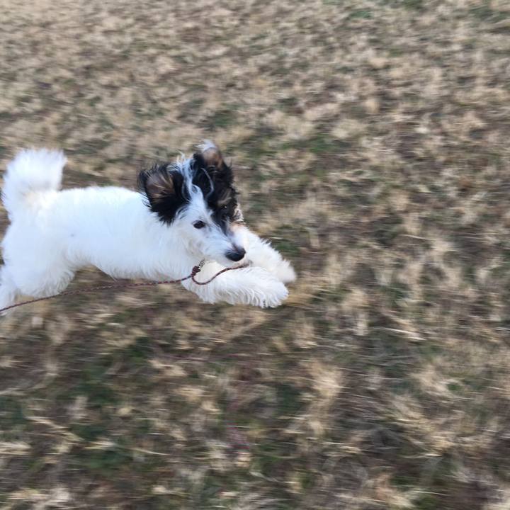 C0dcd273 9b4e 43f1 b684 3d54492a6beb