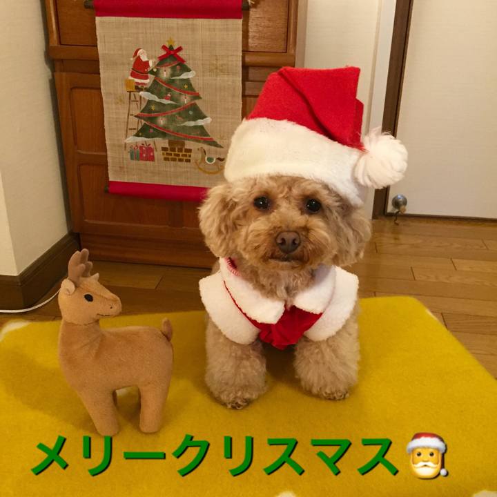 C0dd9b98 9a87 4c89 ab9e 87f52960fd20