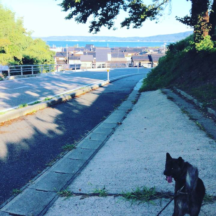 C0ddd552 cebd 4d79 8e64 21b46ddf23c1