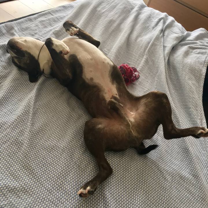 C0de98a5 70f7 442c 8b8c ce4394541195