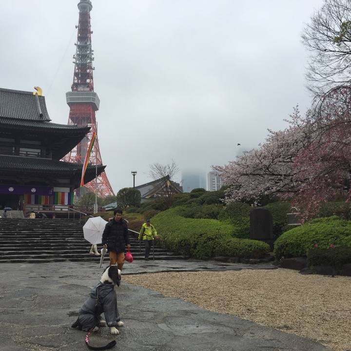 C0dea745 2132 49ed 8158 84539d28d862