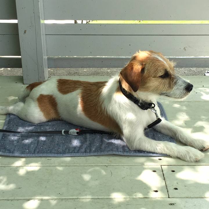 C0ded16a e9e5 4559 925a 687cd6183efa