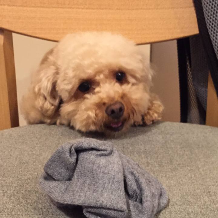 C0def2f1 a29a 40b9 b068 a38c6785994e