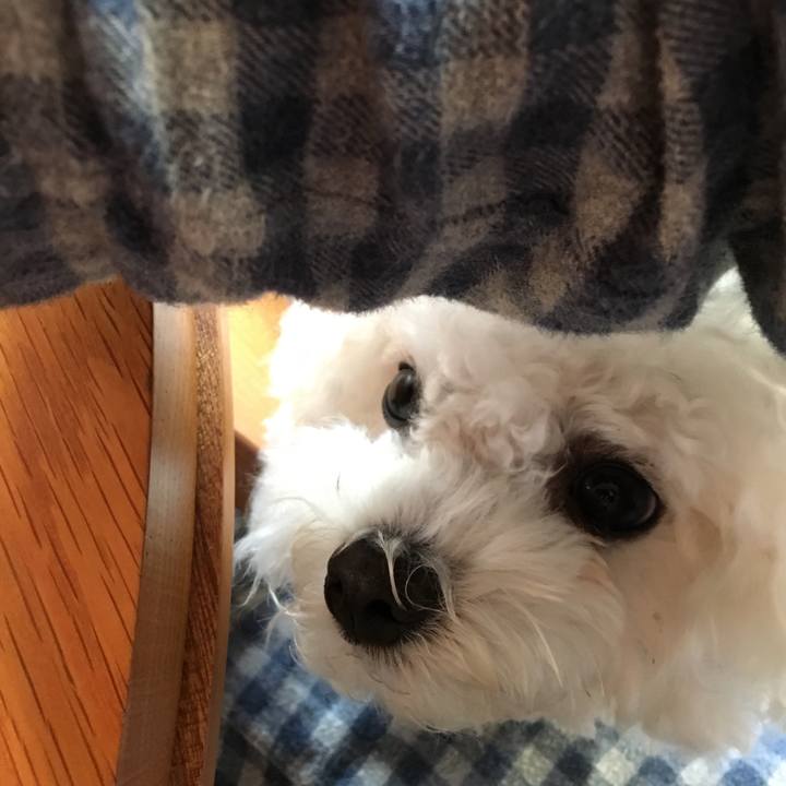 C0df5401 e982 46b2 b418 fe6e4e2f3352