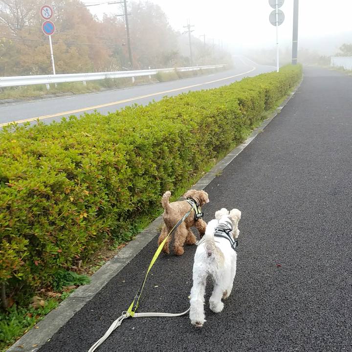 C0df64a7 2bf4 4de8 a030 373d9be6a203