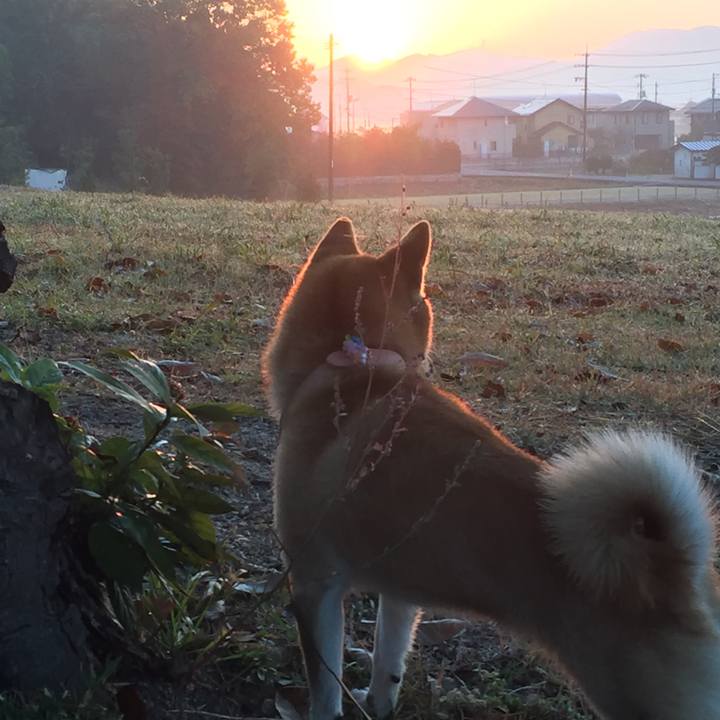 C0df6592 2f6f 4db4 bb12 4b90b1f38cf1