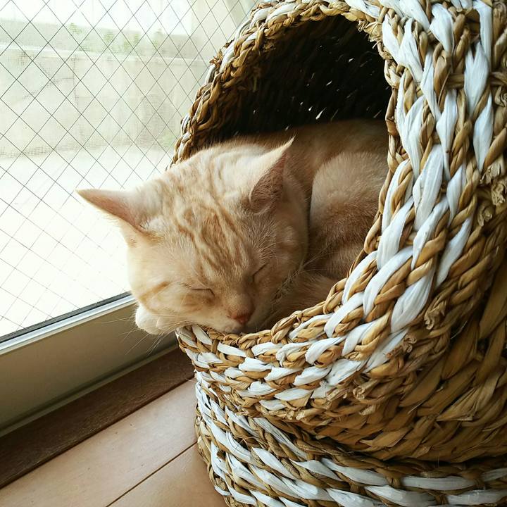 C0df815d 34af 4c37 9660 e3f7672da1ac