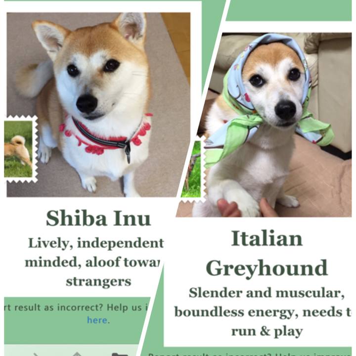 C0e134d1 ac5f 4136 b735 2a58ca1a0199