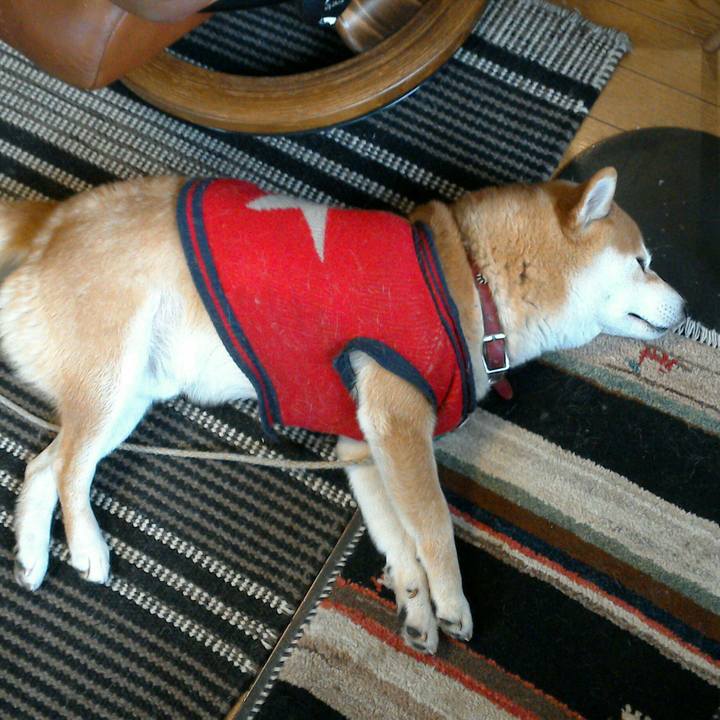 C0e13933 9257 43b3 a3e3 12441f7f4609