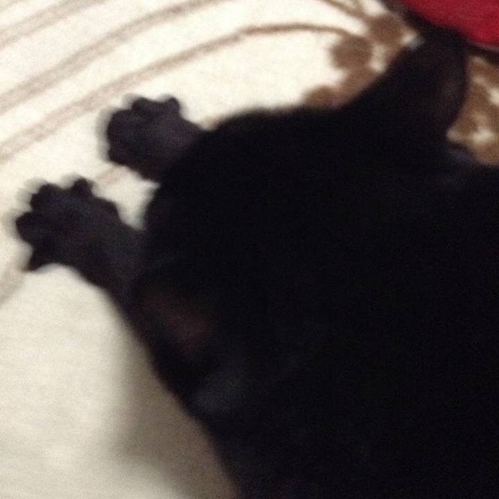 C0e13bde 5622 492e aa58 d7dfe9fa03a3