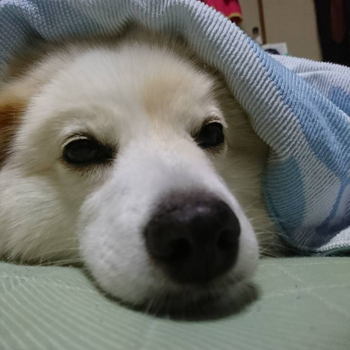 C0e198bb aebc 432d b4d6 47caca3fe7ba