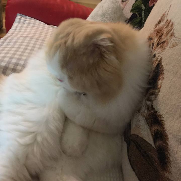 C0e1e215 e3d2 4213 a810 3efb144255cc