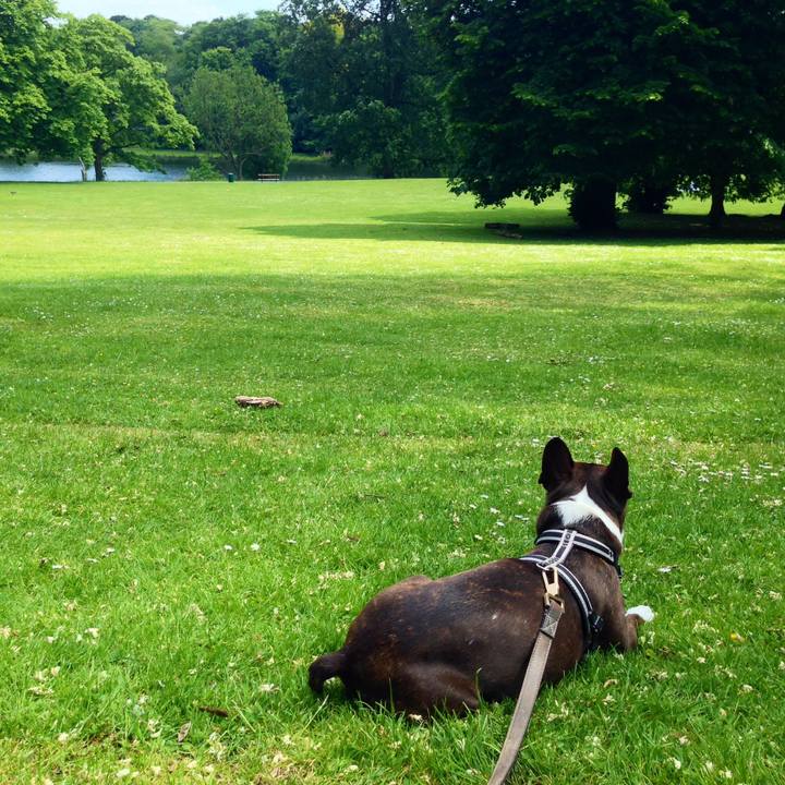 C0e218af c59b 474c b918 c98d519b3bc1