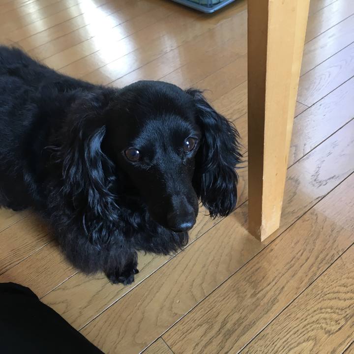 C0e24e86 a6c5 4700 87e1 0fae4fa9fa4b