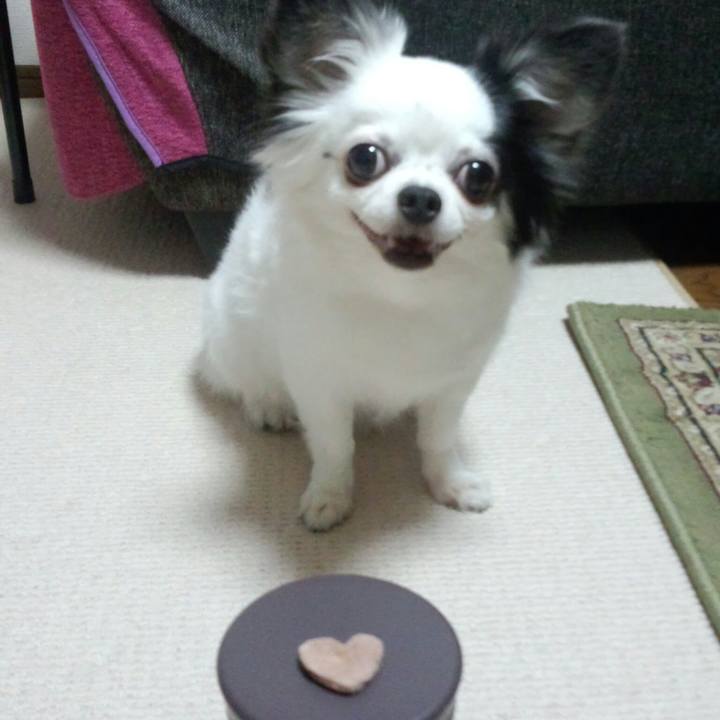 C0e25907 7238 49ca a446 b1d065431d1d