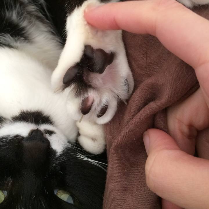 C0e25f3c 7a0e 4ee1 aca0 2c686ecd40b5