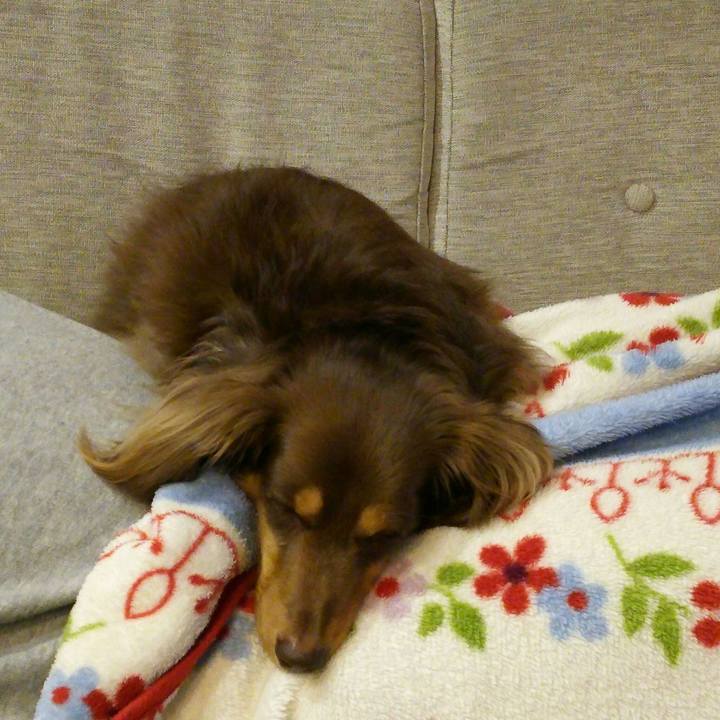 C0e2b4a6 6543 4729 a6d3 8c818d1307da