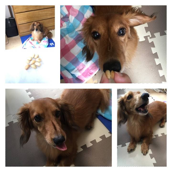 C0e2c4f2 dc8c 4727 aa55 1cf04e9ddab8