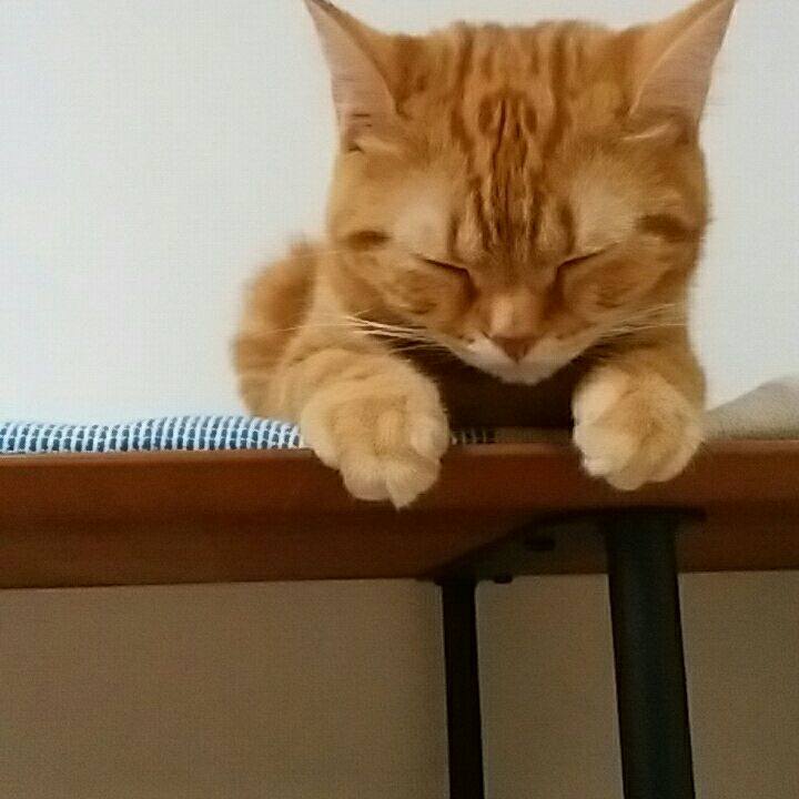 C0e2cecb 4899 453f 8001 841769f25d7b