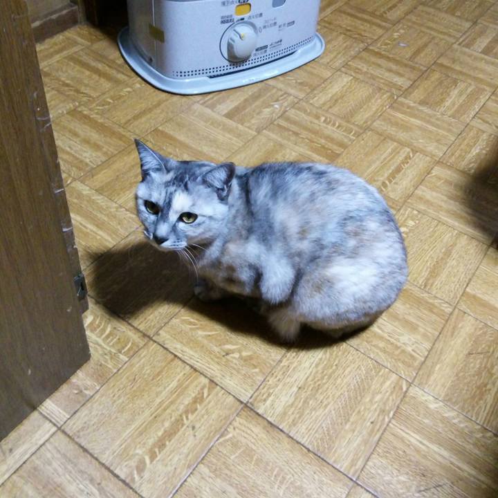 C0e2d52a 2525 4c35 90dc f808137f6704