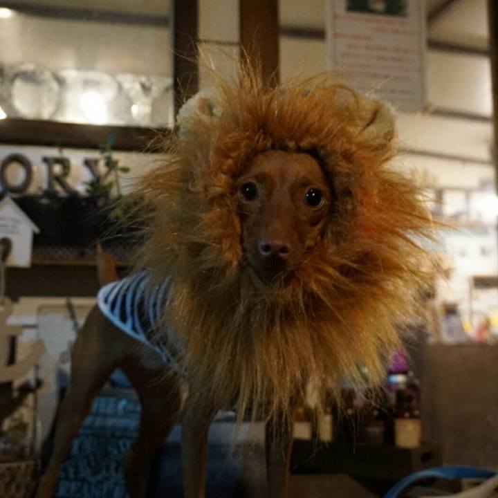 C0e30562 e260 4940 bf6f b8d11e2ccf86