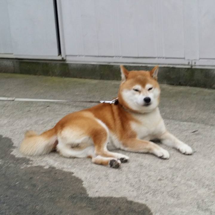 C0e30efe 0599 4f62 8f8a 468194efc3d3