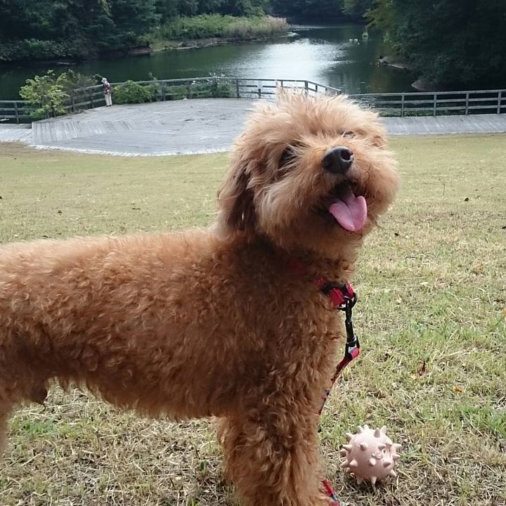 C0e394a9 0b4d 47fa b716 defa93b12013