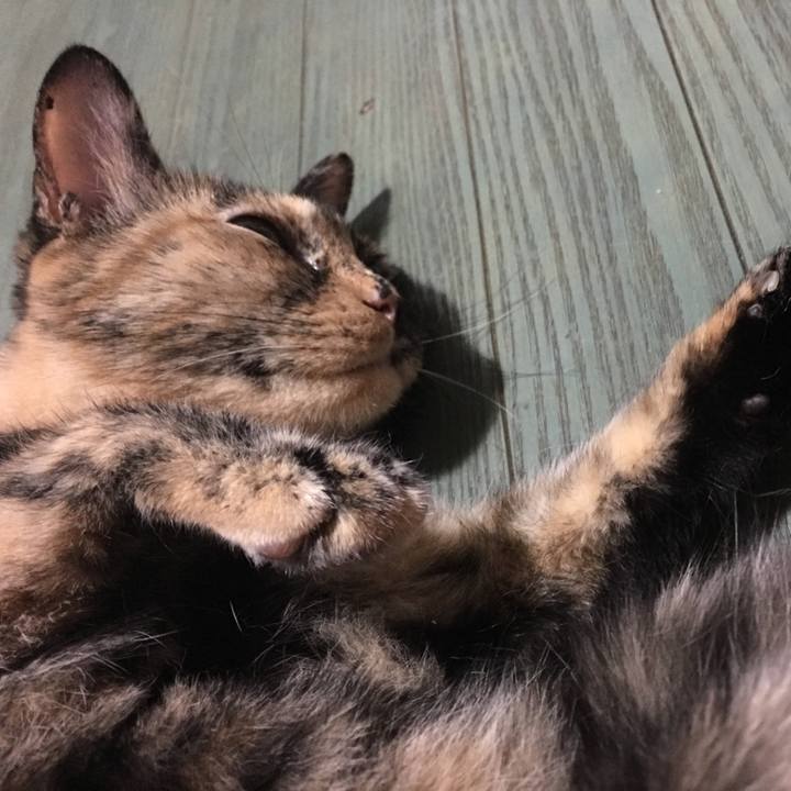 C0e3aea9 9348 430c 90cc 98f5f3c837e6