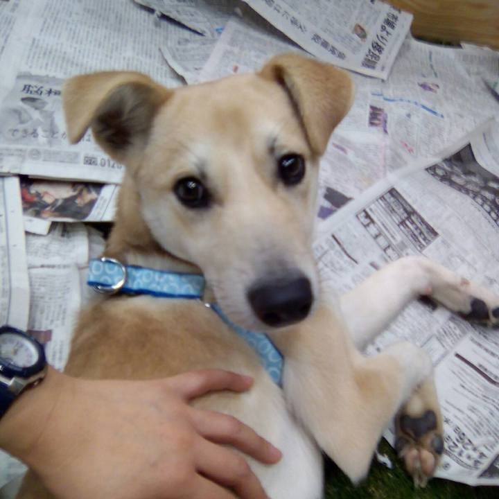 C0e3e1e2 ec09 41bd 98be 197d5b351120