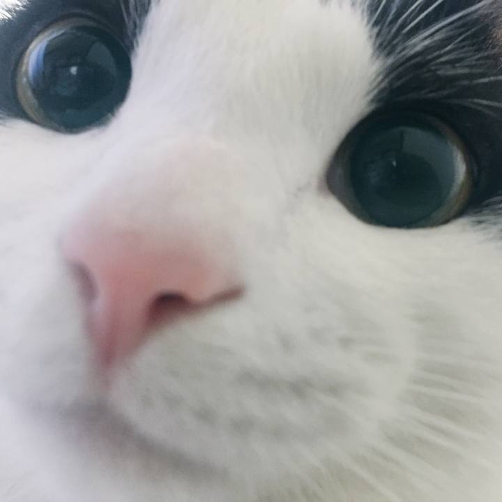 C0e3e410 f5cd 4453 bfe4 7e1b46c5853b