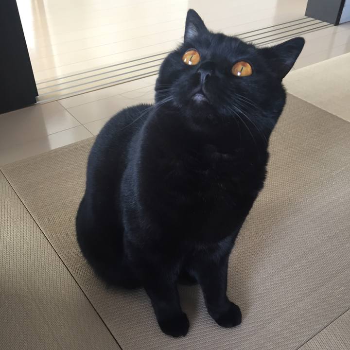 C0e4144d bf7d 449e 850f d59c73fb972c