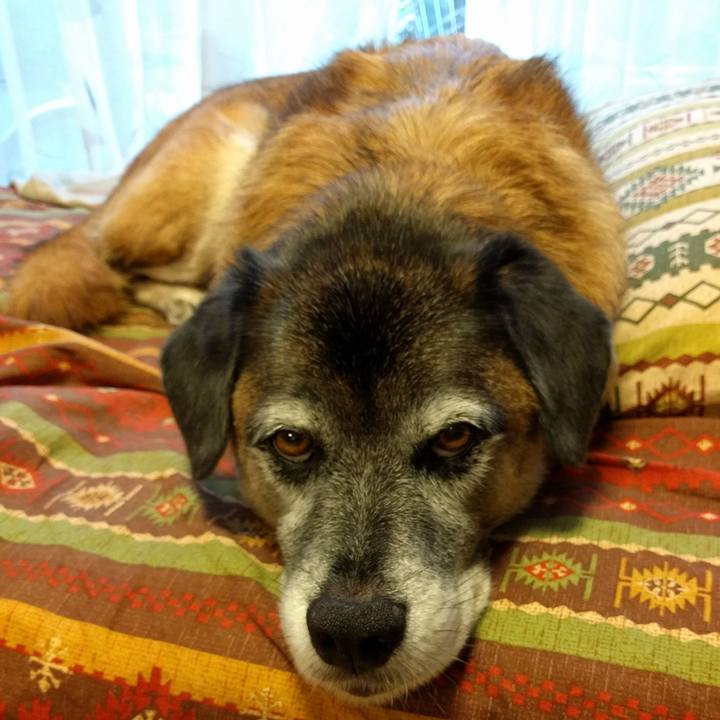 C0e42f56 3cad 4598 b1f8 1e9f154a3857