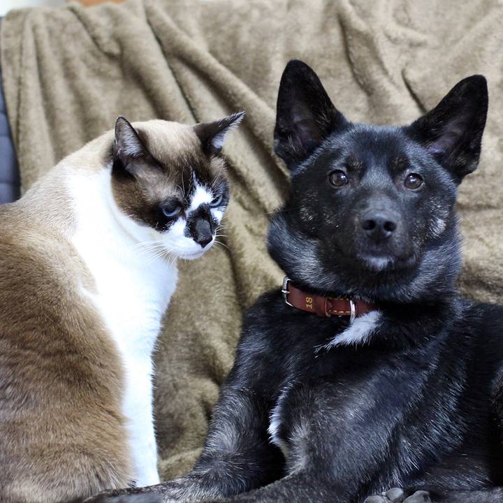 C0e48867 e05f 4b1d a986 07cf643e95a1