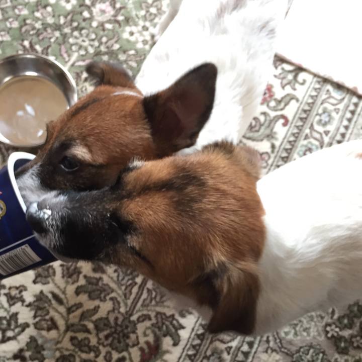 C0e49f79 3de7 4cef a2c1 2e05daa3f49b