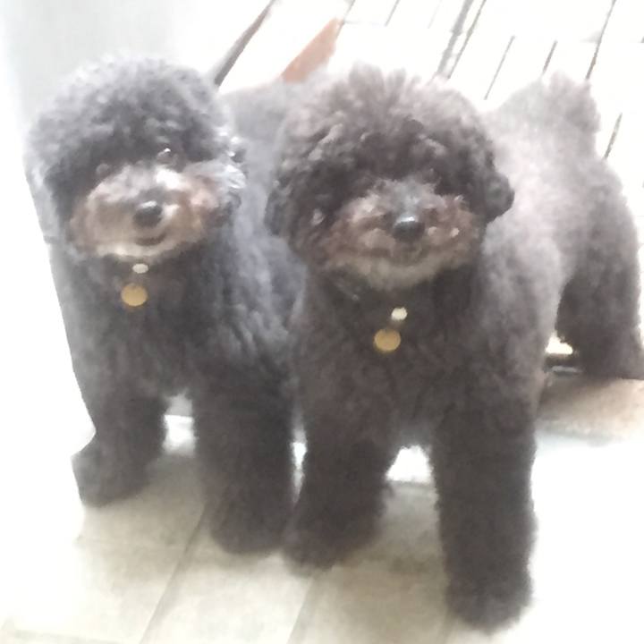 C0e49f93 88df 4cc2 8ac9 fddb84ce893f