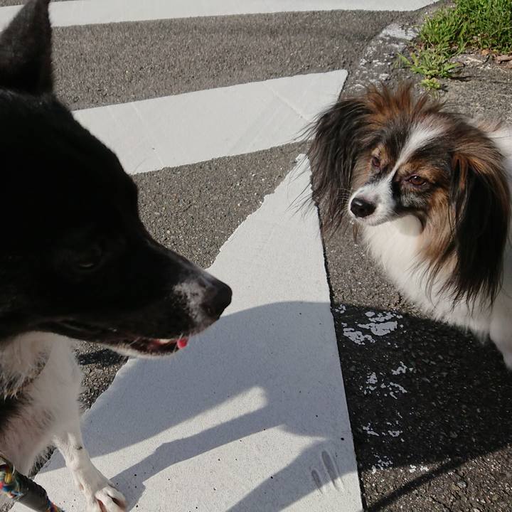 C0e5263c 96ed 453e a49a 93f27c4a5e3f