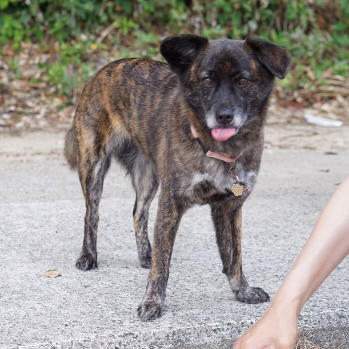 C0e55f5b 6f04 4bbe be17 9c64aeee73ff