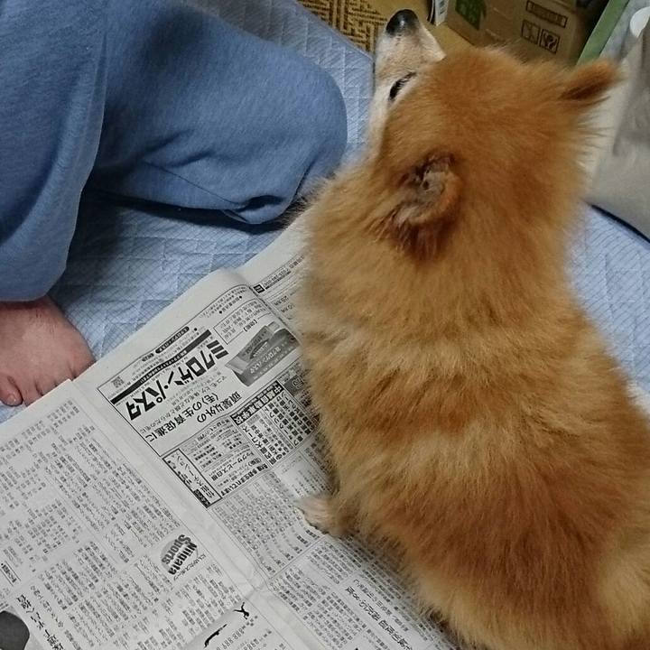 C0e5e446 3867 43f2 bd47 a6803f2eb3e6