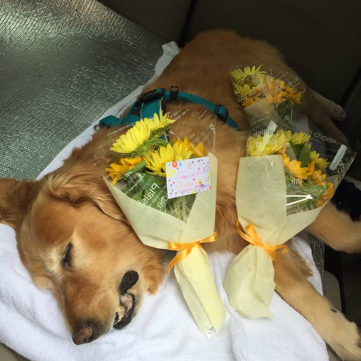 C0e6a6e2 2e31 4d2b 9b49 7e8f02ec2a4f